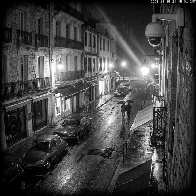 Surveillance & Filature